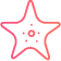 Star Icon